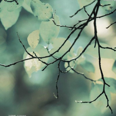 1920 x 1080 HD Wallpapers 2679